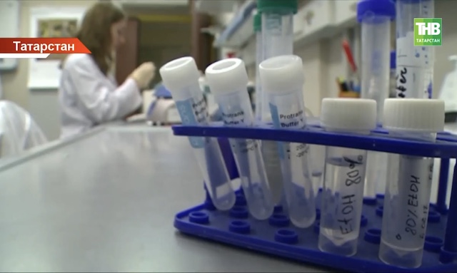 Названы города и районы Татарстана, где чаще всего кусают клещи