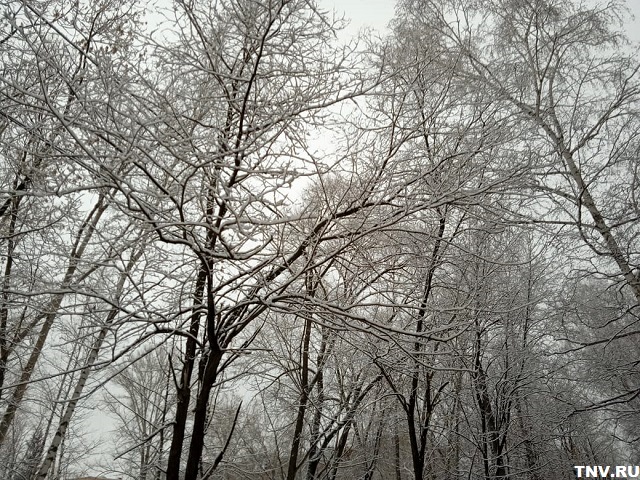 Небольшой снег и до -4 градусов ожидаются в Татарстане 4 февраля