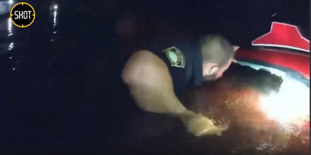 Во Флориде полицейские вытащили женщину из тонущего автомобиля – видео