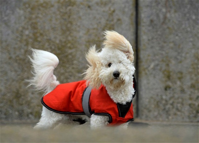 Сногсшибательный ветер и до +5 градусов ожидаются в Татарстане 15 марта