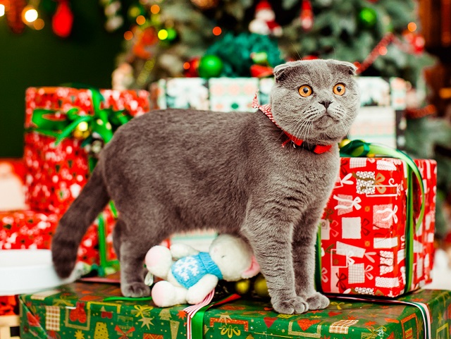 Снежные сюрпризы готовит погода Татарстану на первый день нового года