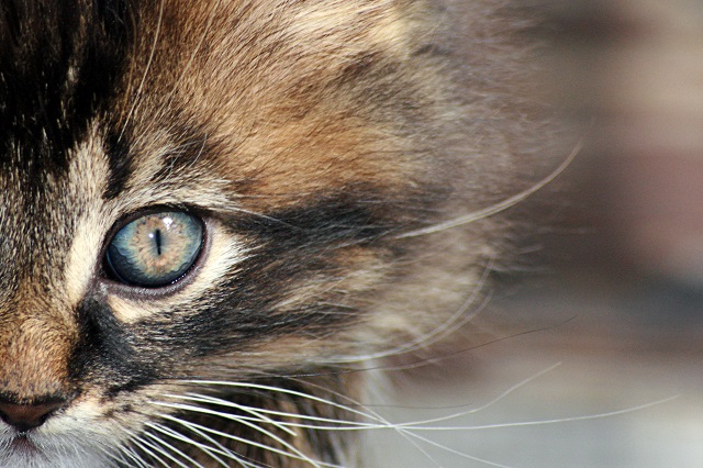 Отступление жары и новая волна непогоды накроют Татарстан в преддверии выходных