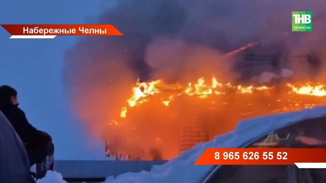 Пожар унес дом и питомцев: семья телеведущей канала «Челны ТВ» нуждается в помощи