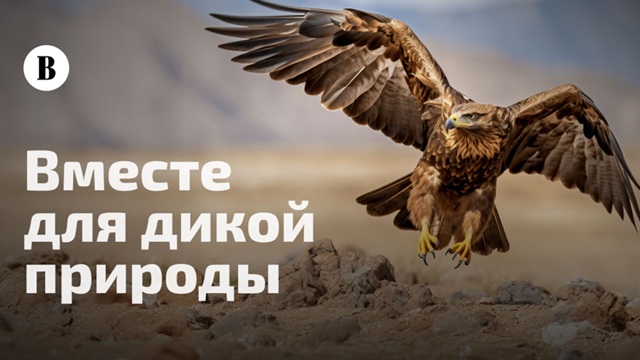 Жителей Татарстана пригласили выбрать, какие краснокнижные виды станут символами РФ