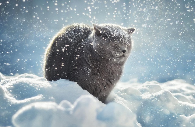 5 декабрьдә Татарстанда көчле җил көтелә