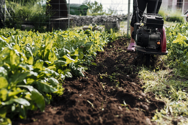 Владельцы заброшенных участков в РТ должны благоустроить их за три года
