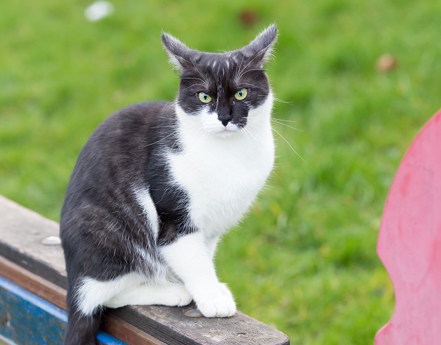 В начале выходных в Татарстане похолодает до +6 градусов, обрушатся грозы и град