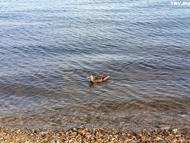 В зоне атмосферного фронта окажется Татарстан в преддверии выходных