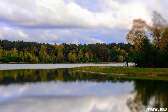 В Красной книге Татарстана находится более 500 животных и растений