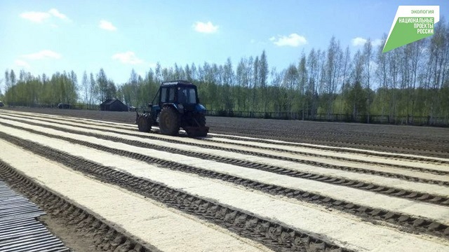 В лесных питомниках Татарстана провели посев семян по нацпроекту на площади 7,6 га