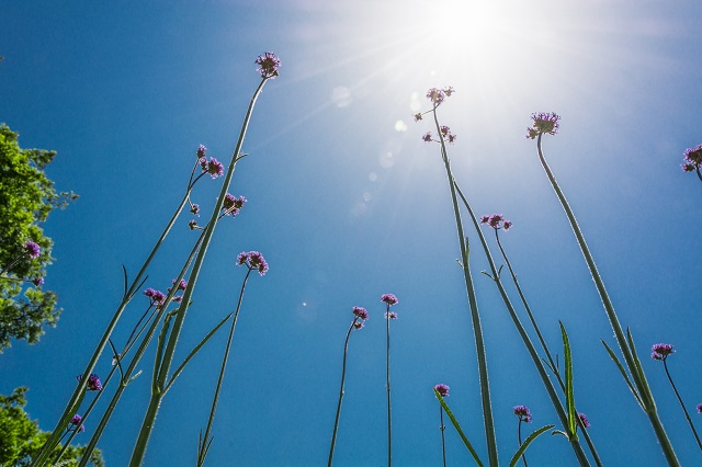 Синоптик: метеорологическое лето в Татарстан придет в начале мая