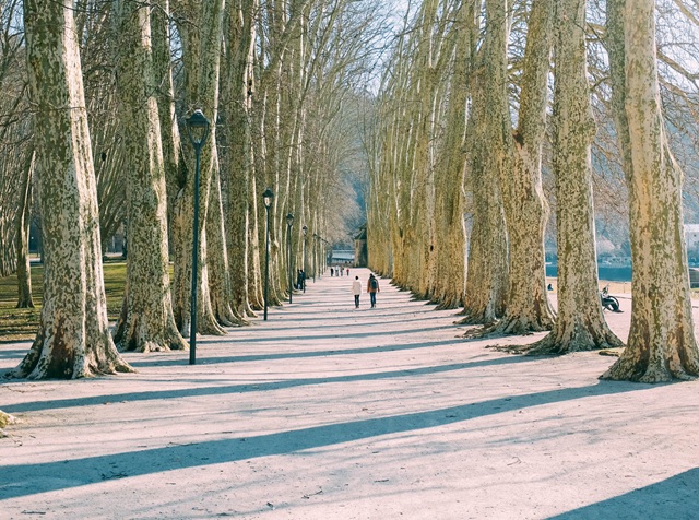 Гидрометцентр: устойчивого снежного покрова в столице не ждут еще минимум 10 дней