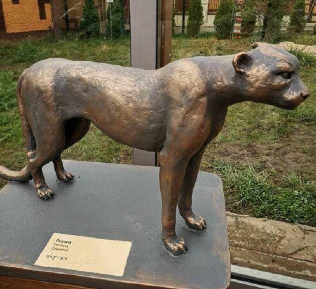 В казанском зоопарке установили точные копии местных животных