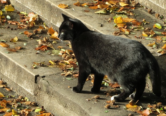 В ближайшие сутки в Татарстане похолодает до +3 градусов