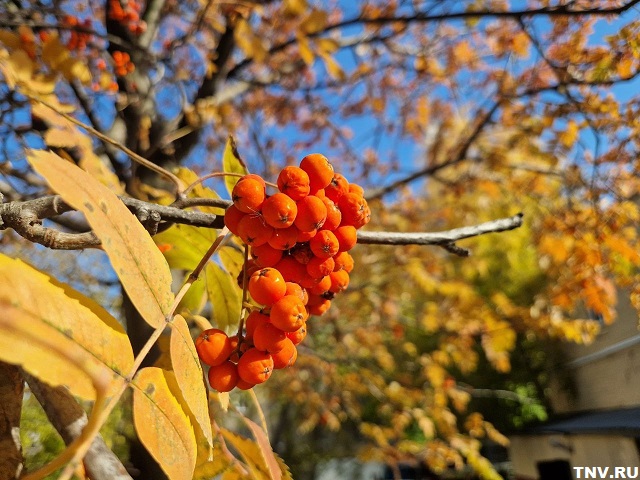 Cамый холодный день на этой неделе анонсировали в Гидрометцентре