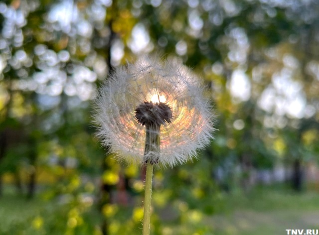 31-градусное пекло ожидается в Татарстане в последний четверг мая