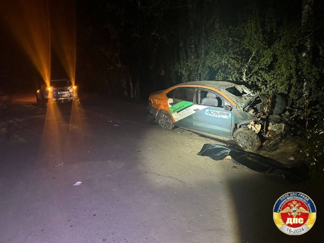 24-летний парень погиб в каршеринге, влетевшем в дерево в Казани