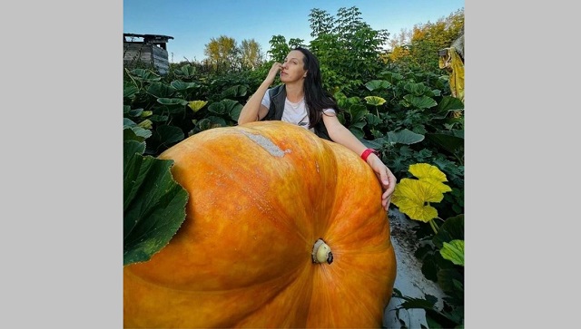Тыкву весом 142 кг вырастила жительница Татарстана в своем огороде