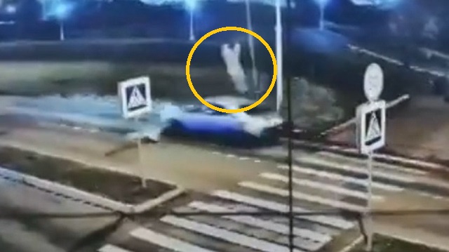 Таксистка на высокой скорости снесла пенсионера с собакой на «зебре» – видео