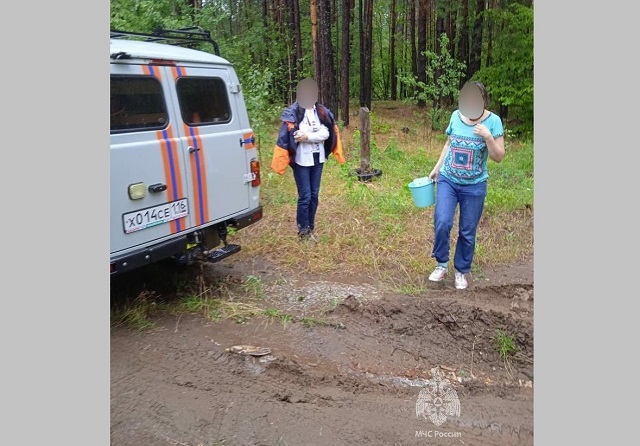 Татарстанда урманга җиләк җыярга чыгып киткән ике хатын-кыз югалган