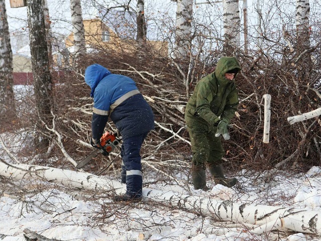 Семьям военнослужащих в Актанышском районе доставят дрова