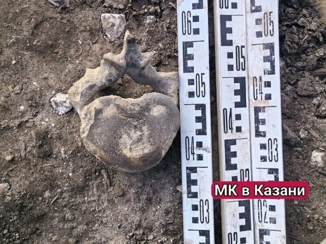 В центре Казани нашли позвонок огромного существа диаметром 20 см