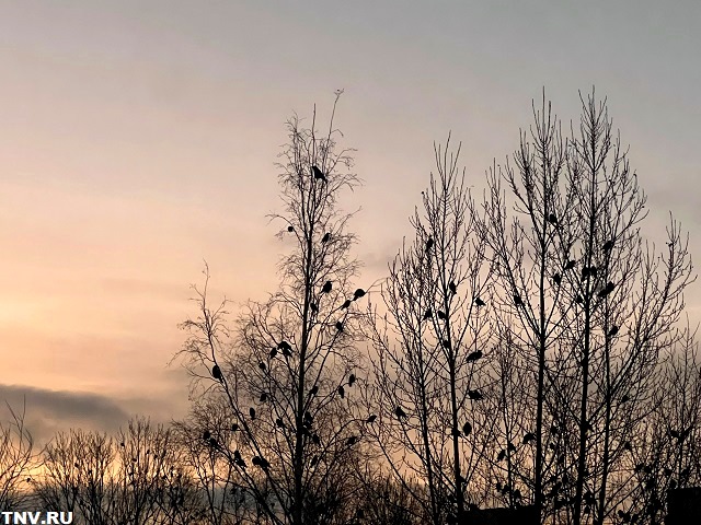 Феликс Гоголь: наступление климатической зимы ежегодно отодвигается 