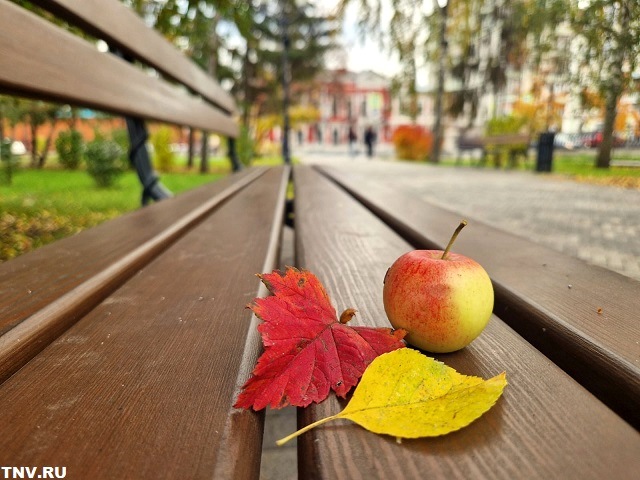 Снег и «минус» близко: в Татарстане продолжается осеннее похолодание