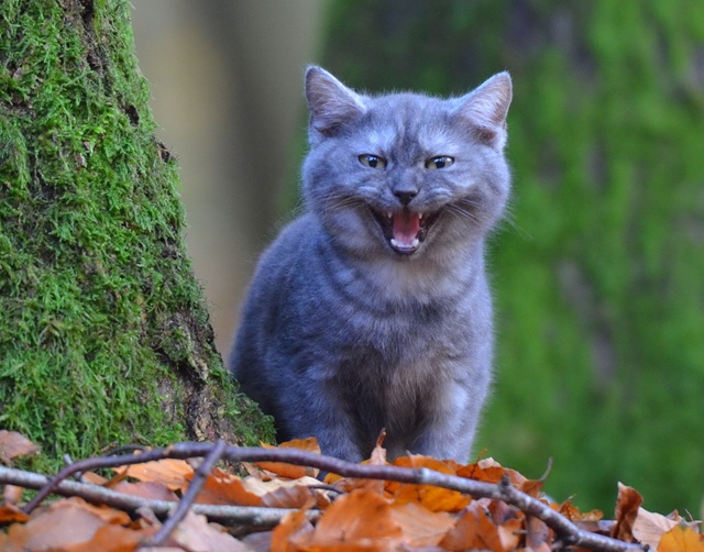 Легкий «минус» и усиление ветра ждут Татарстан в начале выходных