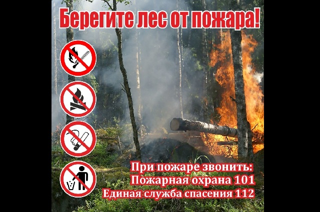 Татарстанда урман янгыннары куркынычы сәбәпле шторм кисәтүе игълан ителде
