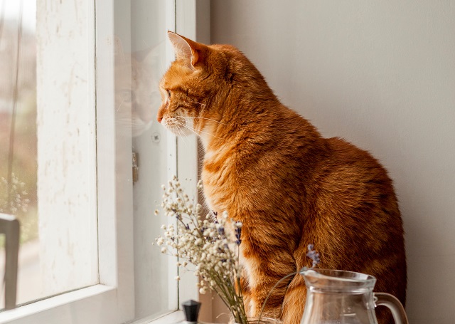 Майский март: тепло до +13 градусов окутает Татарстан в ближайшие сутки