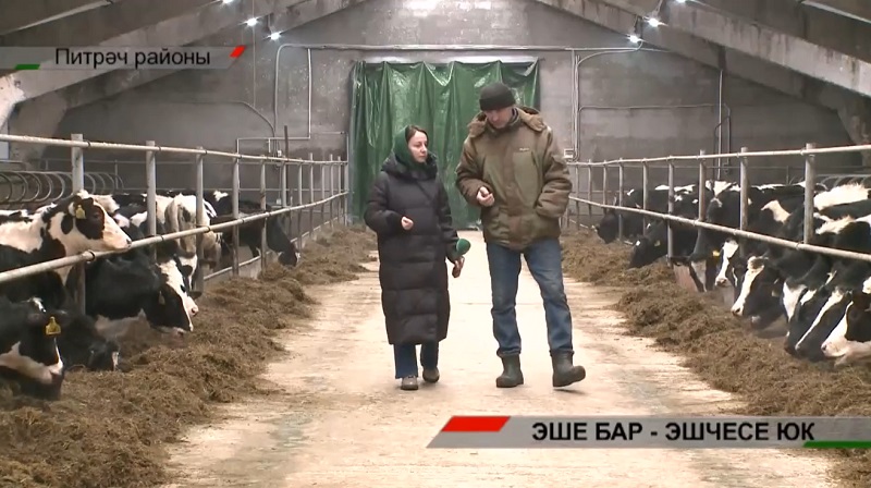 Эше бар – эшчесе юк! Авыл хуҗалыгында яшьләр җитми