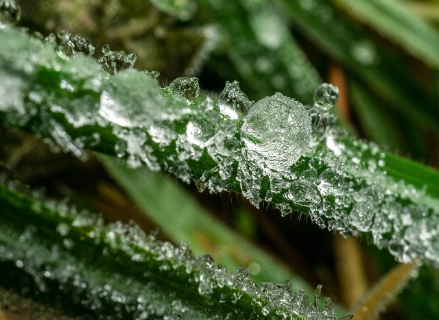 Заморозки до -4...-7 градусов ожидаются в 24 регионах России, включая Татарстан