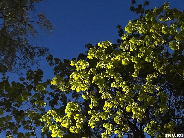 Гидрометцентр: в центре России летней жары в мае не будет