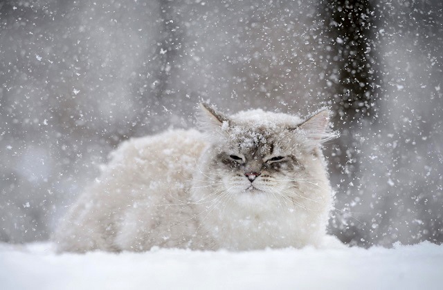 18 ноябрьдә Татарстанда буран көтелә