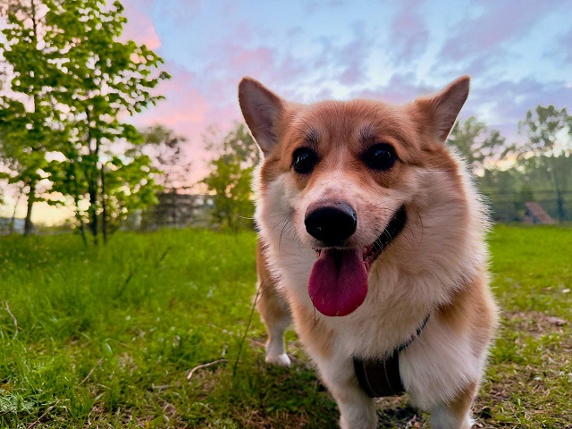 Яллар башында Татарстанда нинди һава торышы фаразлана?