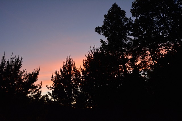 В Татарстане спасатели нашли заблудившегося в лесу парня