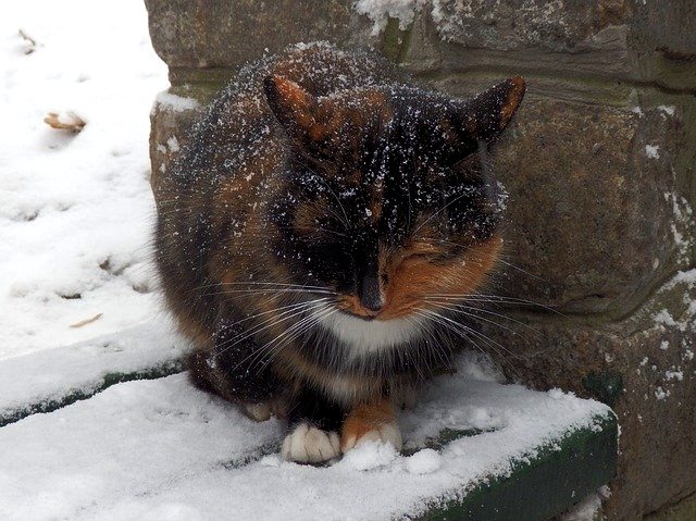 В последний день осени в Татарстане разгуляется непогода