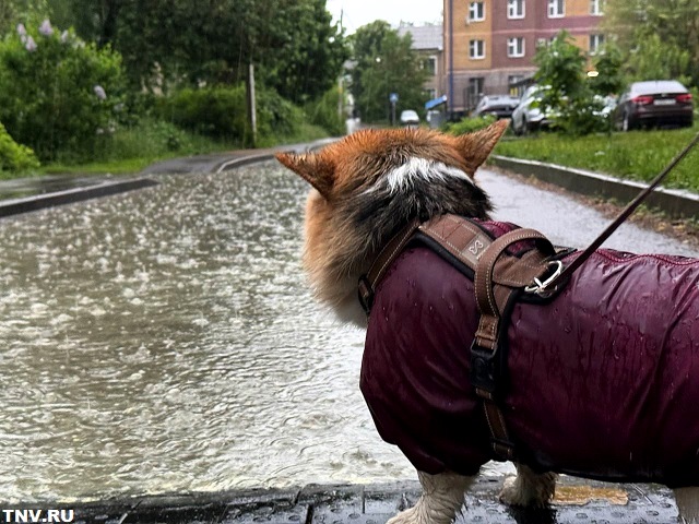 Ухудшение метеоусловий ожидается в Татарстане в ближайшие часы
