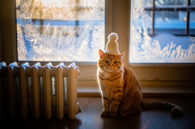 Последний день сильных морозов: до -27 градусов похолодает в Татарстане в конце выходных