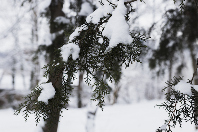 Идеальные условия: синоптик рассказал о погоде на Крещение в центре России 