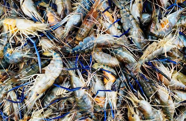 В Татарстане пресечена незаконная добыча раков