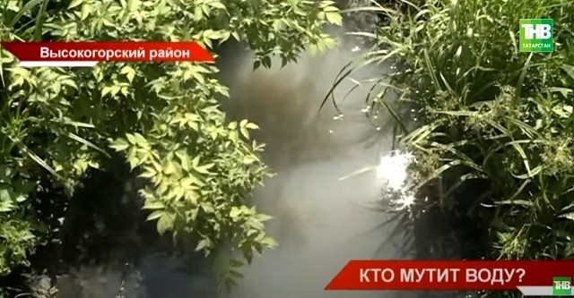 Кто мутит воду?: дачники трех СНТ в Татарстане бьют тревогу из-за загрязнения протоки