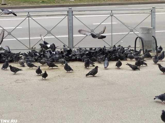 В преддверии Первомая жителей Татарстана предупредили о непогоде