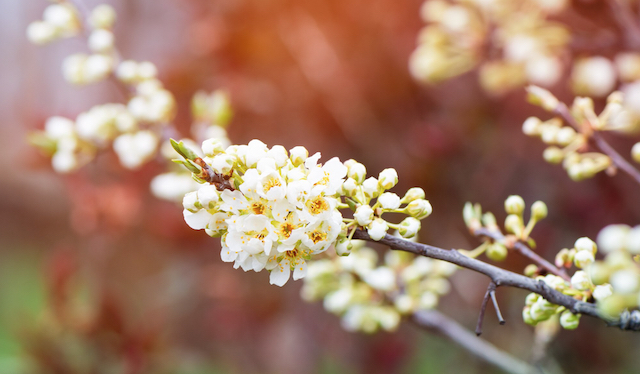 Первая майская пятница в Татарстане будет дождливой 