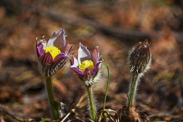 Жителям Татарстана напомнили о длительных выходных в начале мая