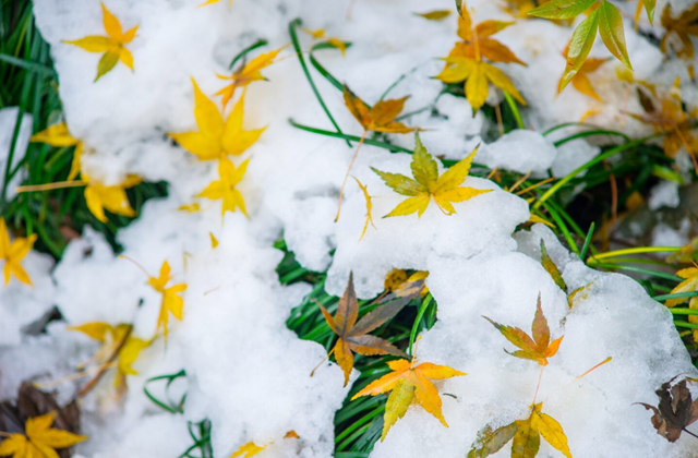Снег и холод до -7 градусов в сентябре анонсировали синоптики в ряде регионов РФ