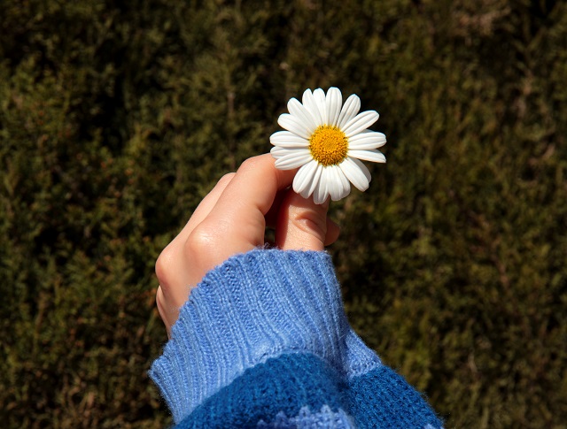 Похолодание до +4 градусов накроет центр России