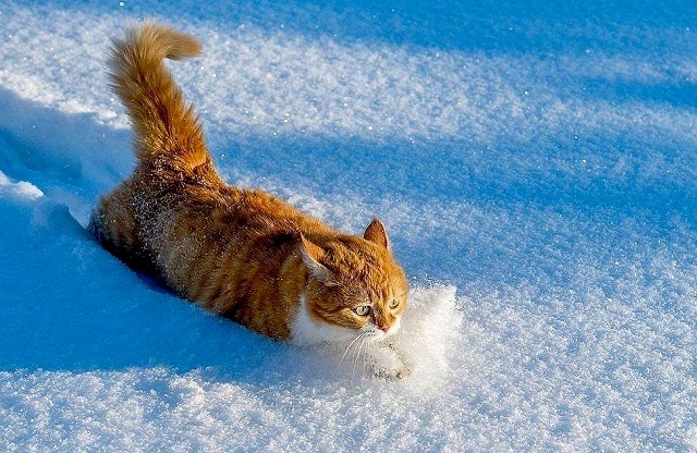 24 гыйнварда Татарстанда томан көтелә