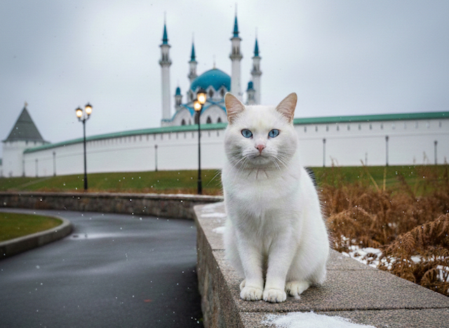 Зима близко: гололедица и мороз до -5 градусов ожидаются в Татарстане 
